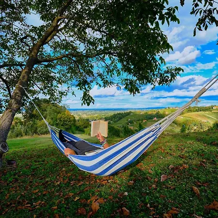 House Podhamer Boris Villa Presika