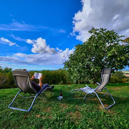 House Podhamer Boris Presika