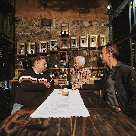 Villa House Podhamer Boris Presika