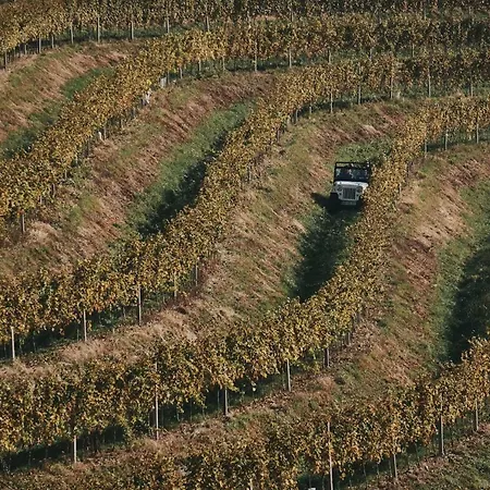 House Podhamer Boris *