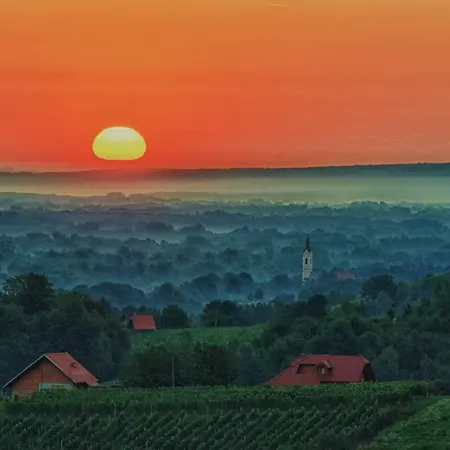 House Podhamer Boris *