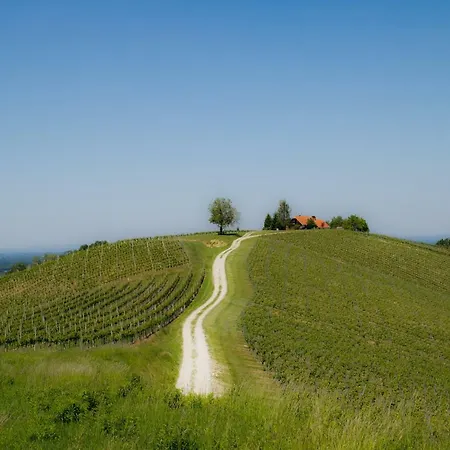 House Podhamer Boris Villa Presika