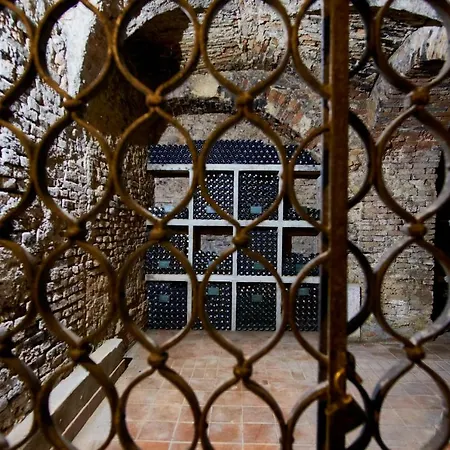 House Podhamer Boris *