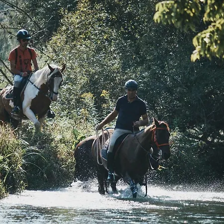 House Podhamer Boris *