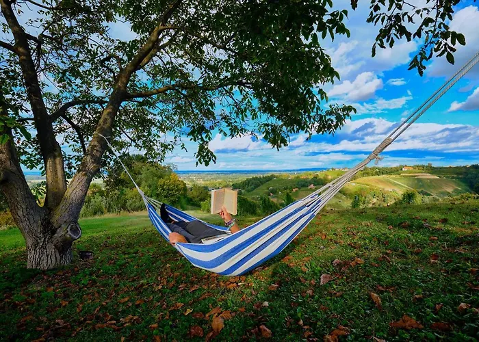 House Podhamer Boris ヴィラ Presika