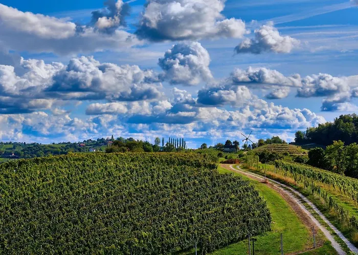 House Podhamer Boris * Presika