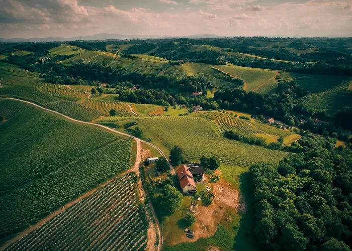 House Podhamer Boris ヴィラ Presika