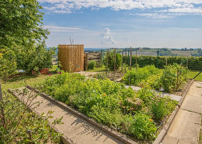 ヴィラ House Podhamer Boris Presika