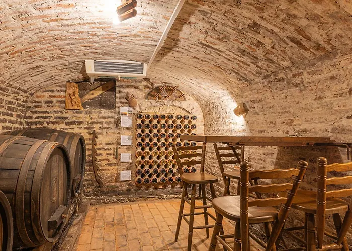 ヴィラ House Podhamer Boris *