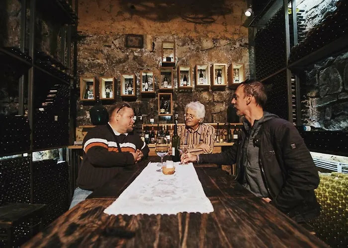 ヴィラ House Podhamer Boris Presika