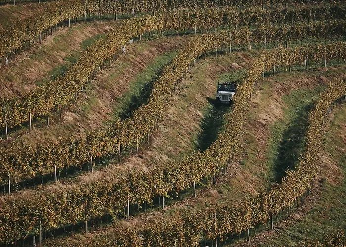 House Podhamer Boris *