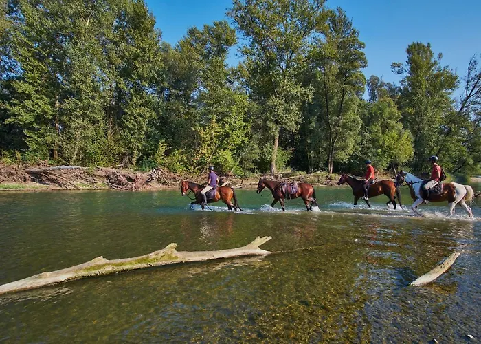 ヴィラ House Podhamer Boris Presika