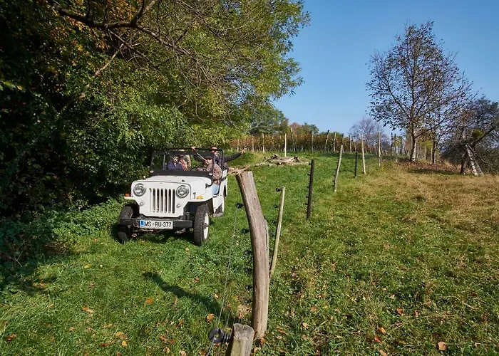 House Podhamer Boris ヴィラ Presika