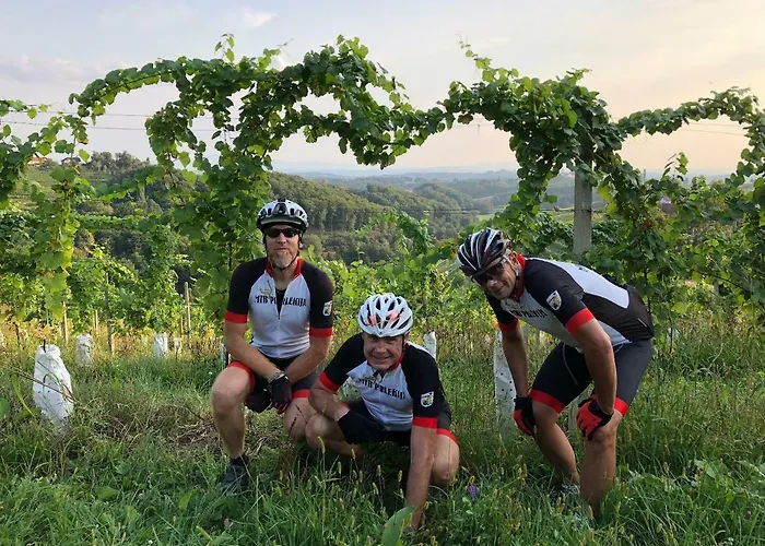 ヴィラ House Podhamer Boris *