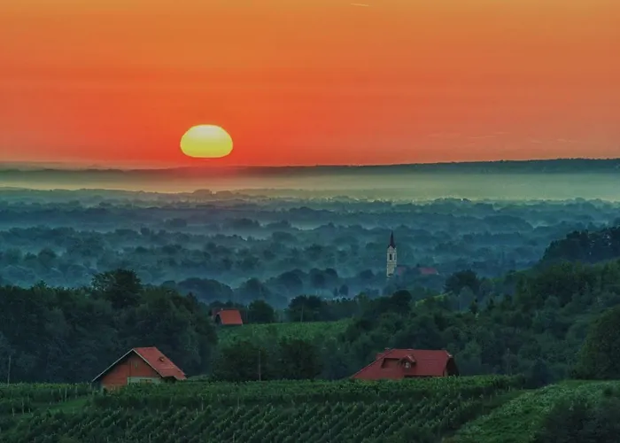 House Podhamer Boris *