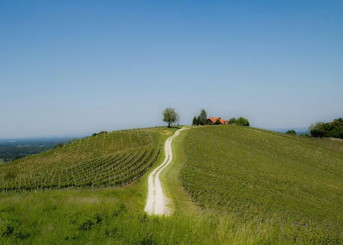 House Podhamer Boris Villa Presika