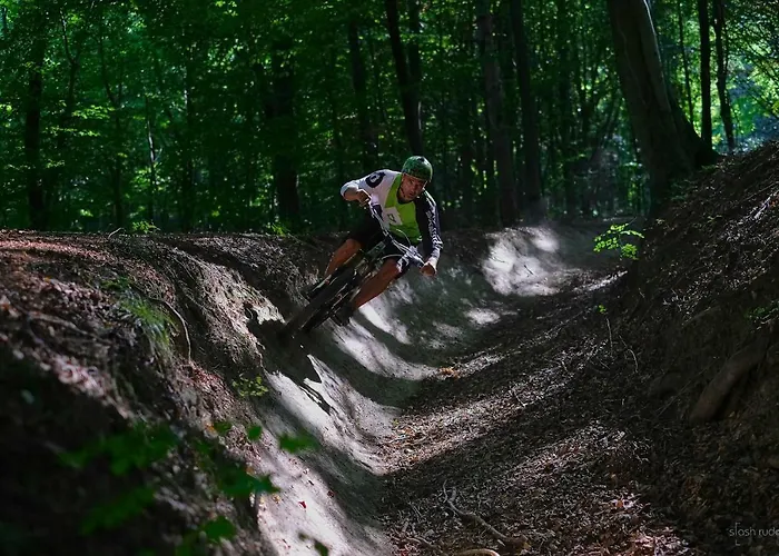 House Podhamer Boris *