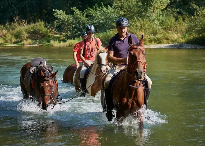 House Podhamer Boris Villa Presika