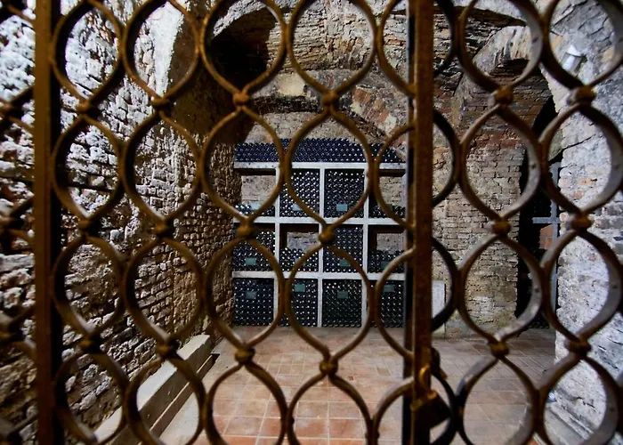 House Podhamer Boris *