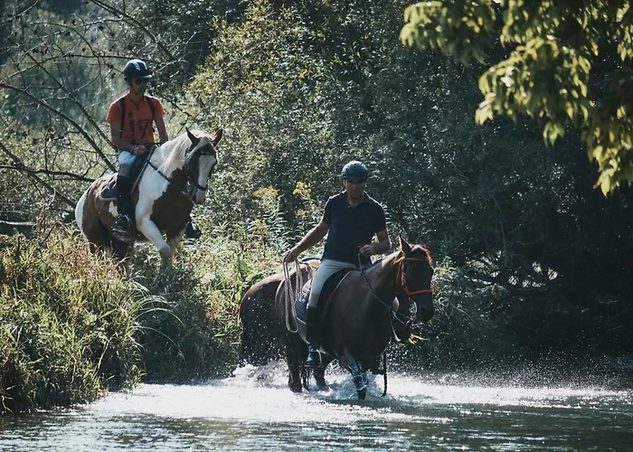 House Podhamer Boris *